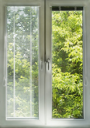 Windows Repair and Replacement
